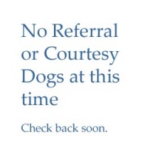 Referral Dogs – none