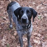 Beautiful Barley is ready to come home with you!