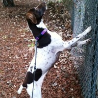 [Anabelle] What a busy girl I’ve been this week!