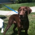 Bandit B6 May20