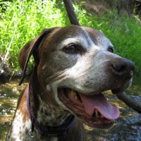 We wonder why Dottie is smiling…