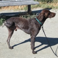Cooper shows off his good side!