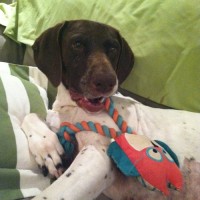 Madison is feeling great post-surgery!