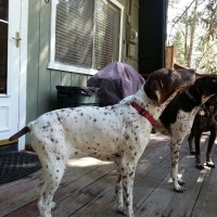 Sophie’s trip to Tahoe
