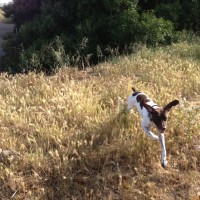 Look at Janie go!