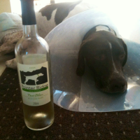 “Cheers” to recovery for Rally!