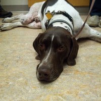 Rally’s on the road to recovery!