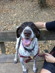 Layla is such a happy girl!