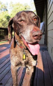 Handsome James!