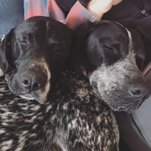 Holmes and Watson are the best of friends!