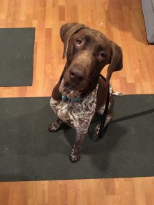 Hello Booker boy!