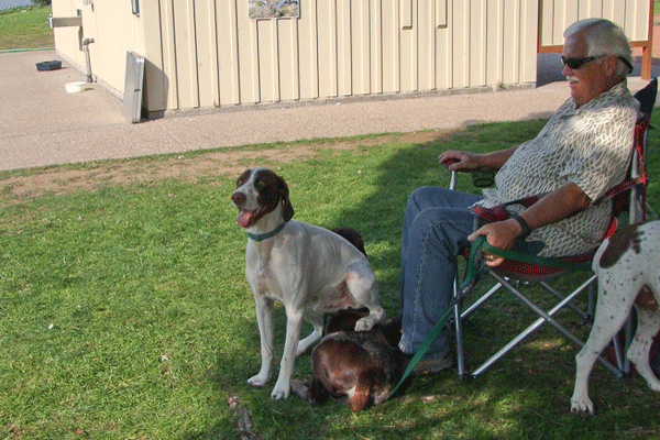A volunteer sitting in a chaire with two GSPs at his feet; one GSP is sitting on top of the other