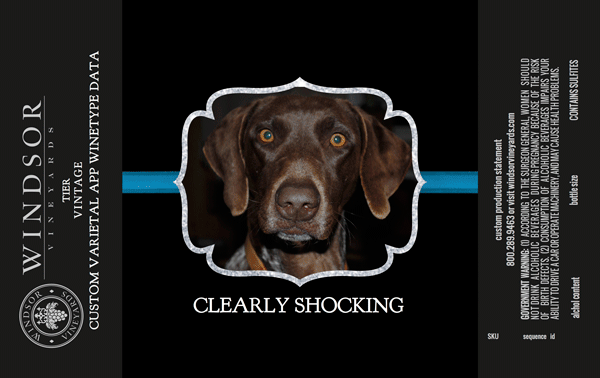 Clearly-Shocking---Lisa-Daley-Sobel---label