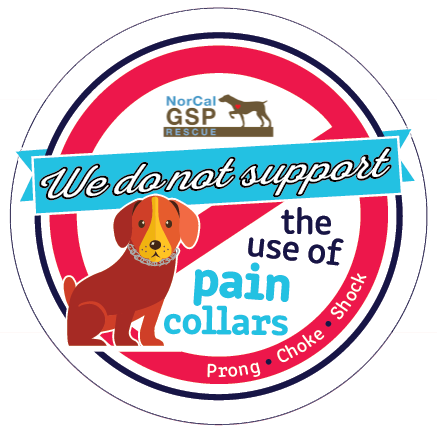 No pain collars graphic