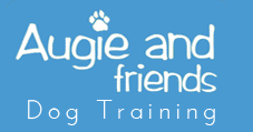 augie-friends-logo