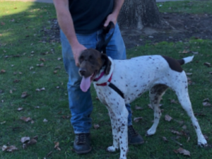 Image of Mitzy with her forever dad