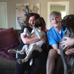 Success story photo - Mictlan, a white GSP with liver ticking and patches, being held on the sofa by his forever mom, sitting next to his forever dad who is holding Lena, a mostly liver female alum