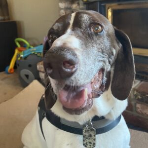 In Memoriam photo - Alum Reginald smiling