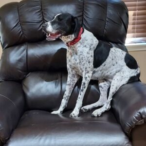 Louise sitting in a recliner