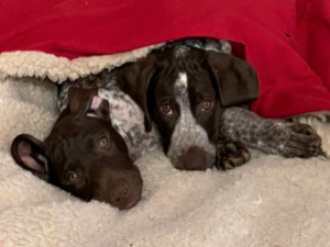 Reese and Joy in a cozy cave