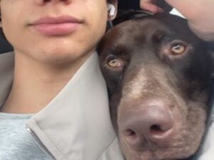 Bear with his new mom