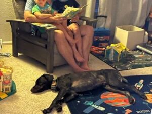 Kamo with his new family