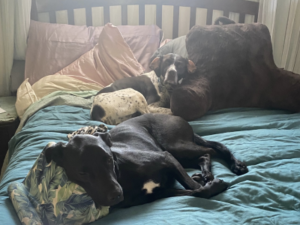 Marge with pal Rocko SS