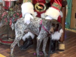 Brownie 2 with Santa Claus.