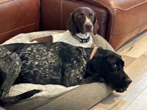 Isla with her new sister Regina.