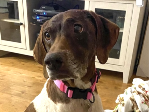 Daisy May in memoriam - soulfoul picture of her face
