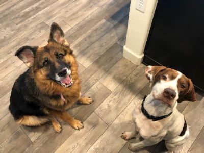 Gilbert and his new fur sister, Katie.
