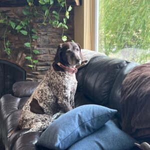 Samantha on the sofa near a large window