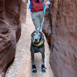 Theo in a slot canyon with his forever dad behind him