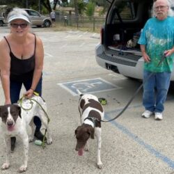 Lizzy with her new forever family.