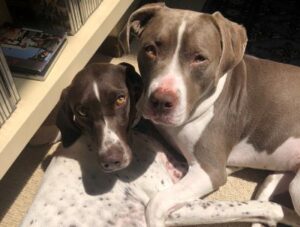 Margot and her new forever fur brother, Leo.