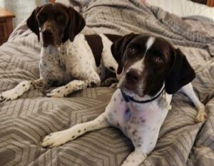 Cute Forrest with his new fur brother.