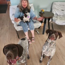 Williams with his new forever Mom and fur siblings.