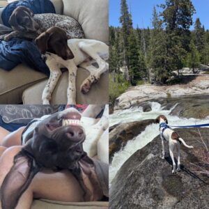 Cute Tino