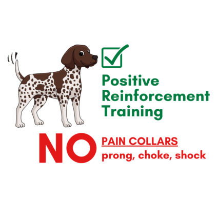 Training-horizontal-white Training-horizontal-white