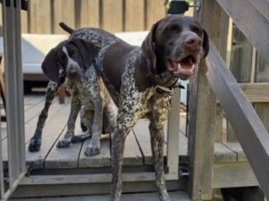Ariella and her new fur brother.