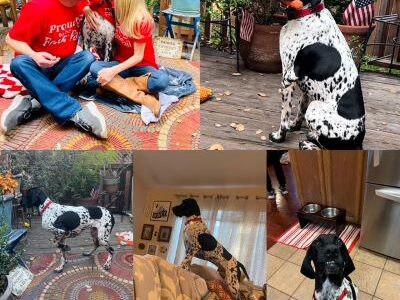 Ringo with his new family.
