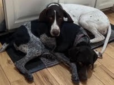 Nicole with one of her new fur siblings.