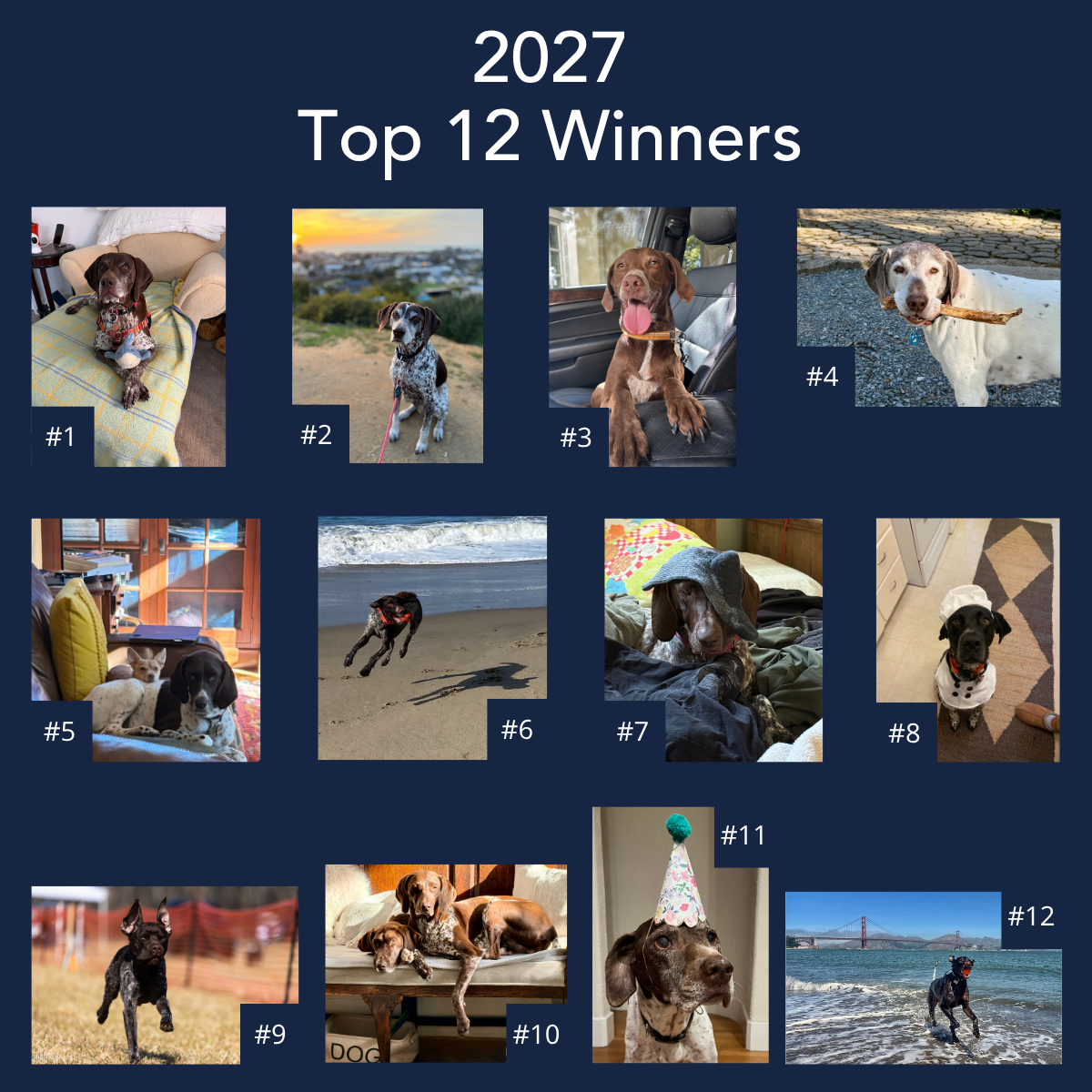 Top 12 winners
