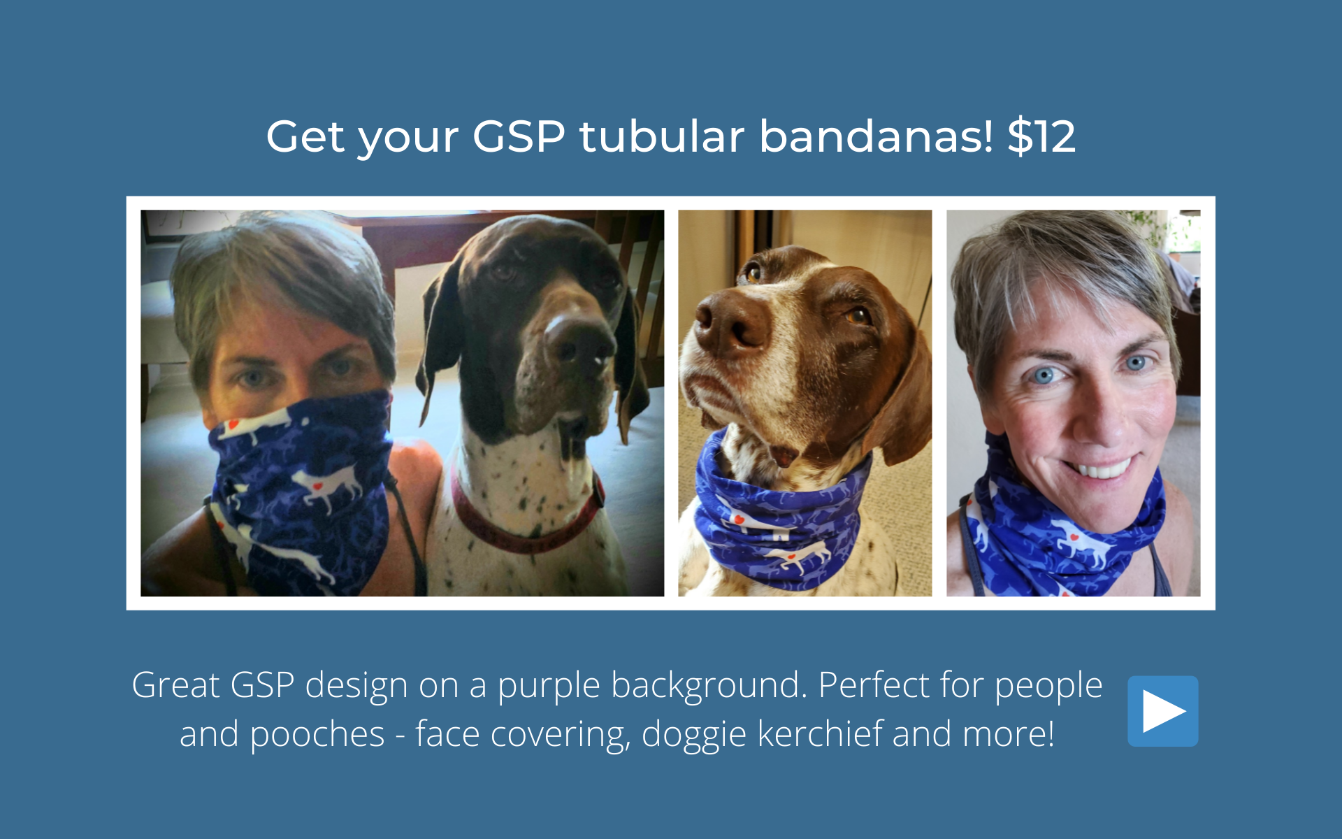 gsp dogs for adoption